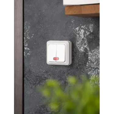 Рим Выключатель двухклавишный с индикатором 10А белый