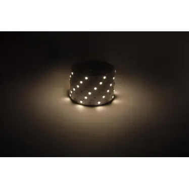 Светодиодная лента LS5050-7,2-30-12-3000K-IP20-1 year-5m теплый белый 5м