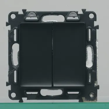 Valena IN MATIC Выключатель двухклавишный 10А 250В Безвинтовые зажимы