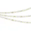Лента RT-A98-8мм 24V White6000 (10 W/m, IP20, 2835, 5м) (Открытый)