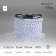 Дюралайт LED , постоянное свечение (2W) - белый, 36 LED/м, бухта 100м, | 121-125 | NEON-NIGHT