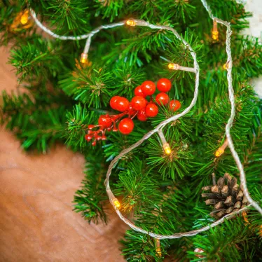 Светодиодная гирлянда ARD-CURTAIN-HOME-1500x1500-CLEAR-144LED Warm (230V, 6W) | 024830 | Arlight