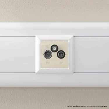 Avanti TV-FM-SAT ''Ванильная дымка'', 16A, 2 модульный