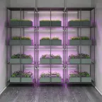 Светильник светодиодлный для растений (фитосветильник) ДПО 15 Вт IP20 1175х25х37 мм Fito Gauss