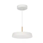 Светильник светодиодный SP-ELEGANT-R300-17W Day4000 (WH, 120 deg, 230V) (ARL, IP20 металл, 3 года)