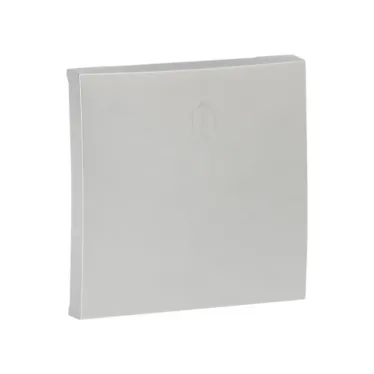 Валенсия лицевая панель кнопки звонка 10А сталь