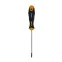 Отвертка Ergonic Torx TR 10х100