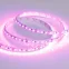Лента RT-A120-8мм 12V Pink (9.6 W/m, IP20, 2835, 5м) (Открытый)