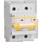 Выключатель автоматический двухполюсный 16А D ВА47-100 10кА