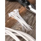 Хомут 100х2.5мм нейлон (100шт)