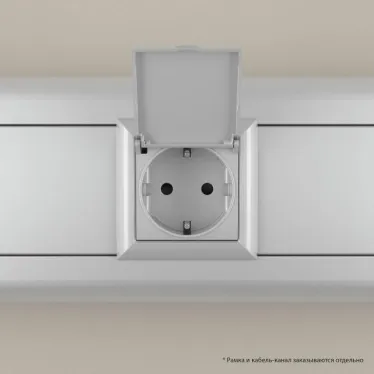 Avanti Розетка с крышкой модульная 2P+E с з/ш Закаленная сталь2 модуля