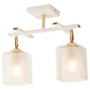 Светильник потолочный Helga 3100-302 2 * Е27 40 Вт модерн