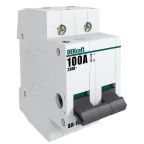 Выключатель нагрузки 2п ВН-102 20А