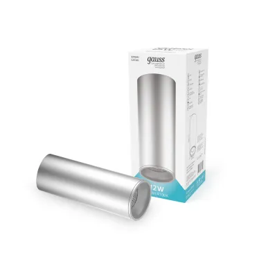 Светильник светодиодный декоративный бытовой HD006 12W (хром сатин) 4100K 79x200мм | HD006 | Gauss