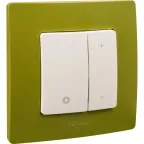 ETIKA Рамка 1 пост зеленый папоротник