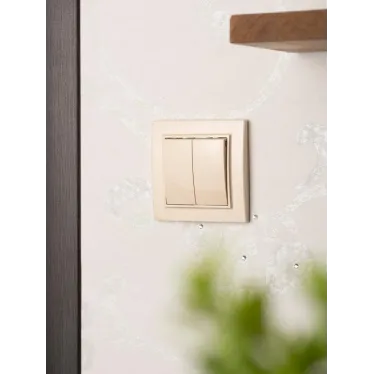 Выключатель двухклавишный СП 10А бежевый Минск