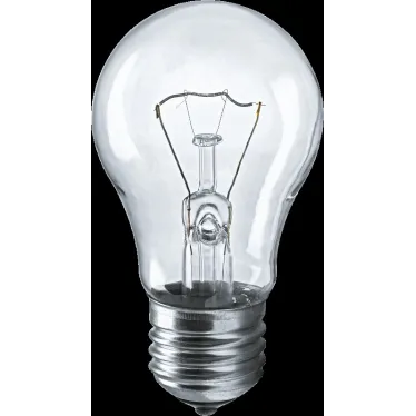 Лампа накаливания ЛОН 60вт А55 230в Е27