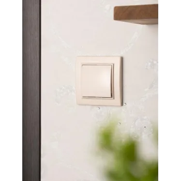 Выключатель одноклавишный СП 10А бежевый Минск