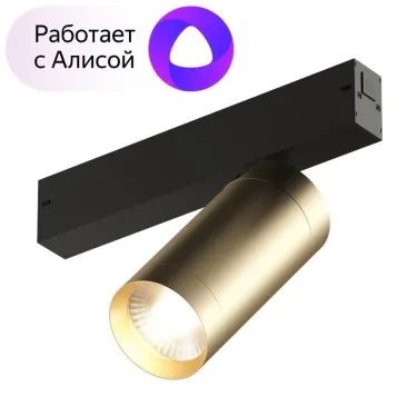 Светильник акцентный SMART SPOT 20 Вт DIM 3000 К-6000 К матов. зол. с черн. DENKIRS DK8020-BG