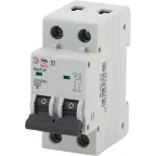 Автоматический выключатель ВА47-29 2Р 2А 4,5кА кривая D