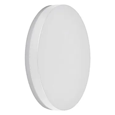 Светильник светодиодный уличный ДБУ-12w 4000К IP54 круглый белый