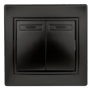 Переключатель Intro Plano 1-107-05 двухклавишный, 10А-250В, IP20, СУ, антрацит