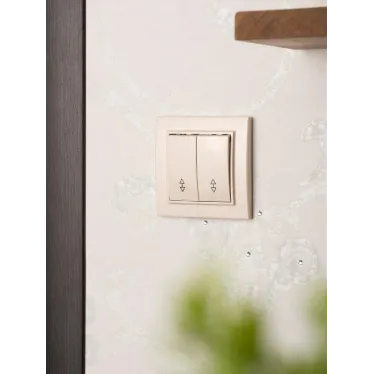 Выключатель двухклавишный СП проходной 10А бежевый Минск