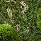 Садовая гирлянда 10 подсвечиваемых светодиодами бутылочек.Общая длина от солнечной ERAGS08-05