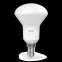 Лампа светодиодная LED 6 Вт 500 лм 3000К грибок R50 теплый E14 AC 220В Black Gauss