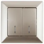 Выключатель Intro Solo 4-105-04 двухклавишный с подсветкой, 10А-250В, IP20, СУ, шампань