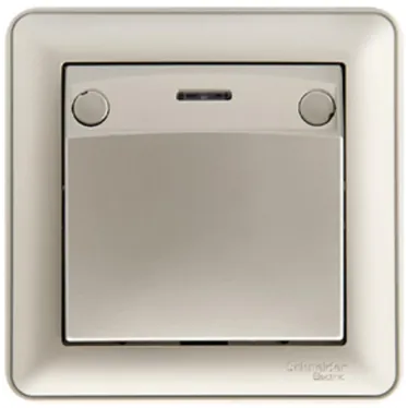 W59 Выключатель карточный одноклавишный скрытый с индикацией шампань