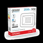 Прожектор светодиодный ДО 30 Вт 2550 лм 6500К AC 220В IP65 118х131х30мм Elementary PROMO Gauss