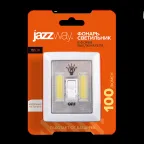 Светодиодный фонарь-светильник ''Выключатель'' TS2-L2W