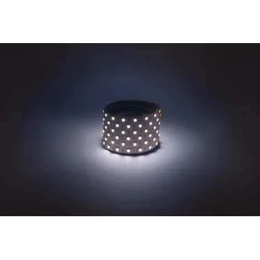 Светодиодная лента LS5050-14,4-60-12-6500K-IP20-1 year-5m холодный белый 5м