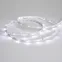 Лента LED RT 2-5000 24V White6000 0.5x (3528, 150 LED, LUX) (ARL, 2.9 Вт/м, IP20)