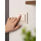 Выключатель одноклавишный СП Минск с индикатором 10А бежевый