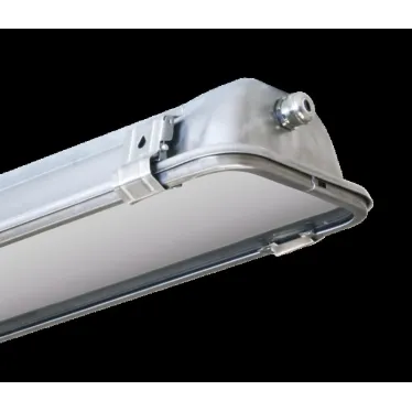 Светильник ЛСП-67-2х36-011 с ЭПРА IP65