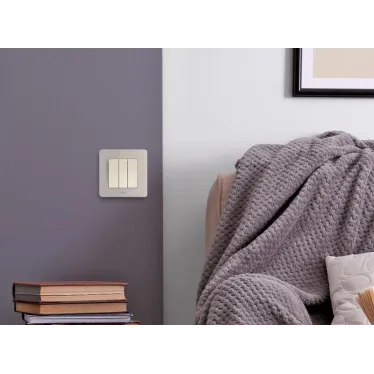 Рамка 1 пост INSPIRIA шампань