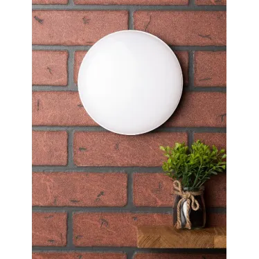 Светильник светодиодный ЖКХ круг ДПО-2002 12Вт 4000K IP65 PROxima