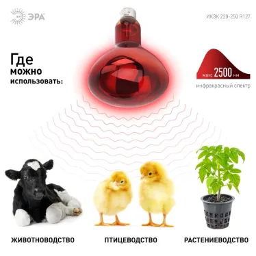 Инфракрасная лампа ИКЗК 220-250 R127, кратность 1 шт. для обогрева животных и освещения, 250 Вт, Е27