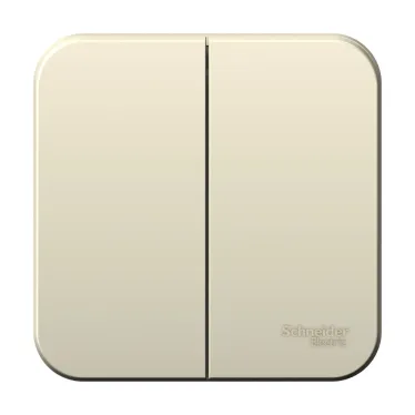 Blanca Молочный О/У с изолирующей пластиной Выключатель 2-клавишный 10А, 250B | BLNVA105012 | SE