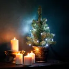 Гирлянда "Твинкл Лайт" 4 м, темно-зеленый ПВХ, 25 LED, цвет белый | 303-015 | NEON-NIGHT