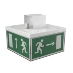 Световой указатель аварийного освещения BS-CUBE-71-S1-STABILAR2 | a15407 | Белый свет