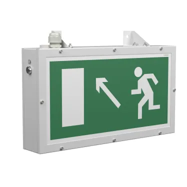 Световой указатель аварийного освещения BS-FLAGMAN-10-S1-24 | a15673 | Белый свет