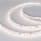 Лента светодиодная RT-A120-8mm 24V Day4000 CRI98 (14.4 W/m, IP20, 2835, 5m) (arlight, Открытый) | 021410(2) | Arlight