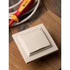 Розетка Минск 1-местная СП с заземлением с крышкой 16А бежевая с защитными шторками IP44