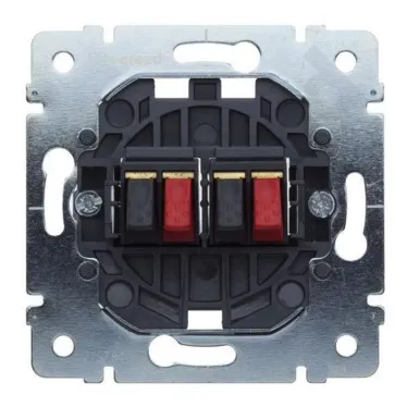 PRO21 Механизм розетки двойной для акустических систем