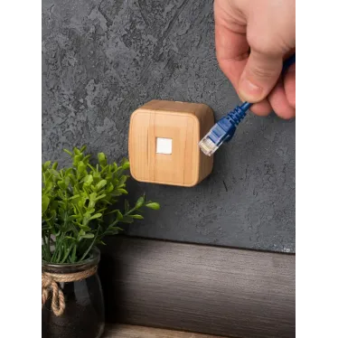 Розетка RJ-45 1-местная ОП Минск 1А 120В светлое дерево