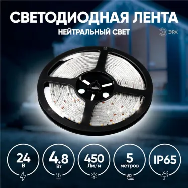 Лента светодиодная LS2835-4,8-60-24-65-4000К-5m (50/800)