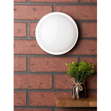 Светильник светодиодный ЖКХ круг ДПО-2003 15Вт 4000K IP65 PROxima